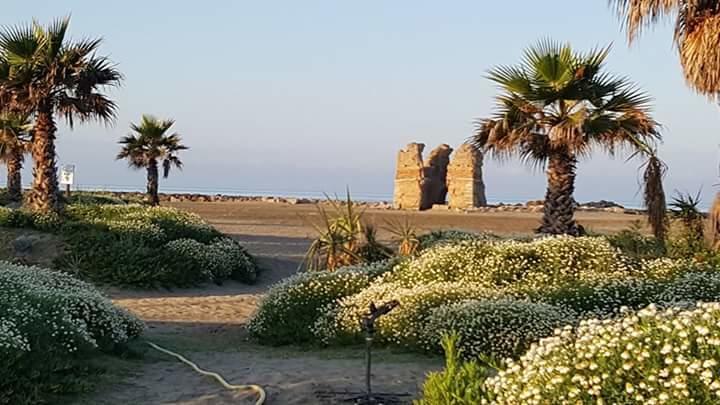 Villa Elegance Ladispoli Εξωτερικό φωτογραφία
