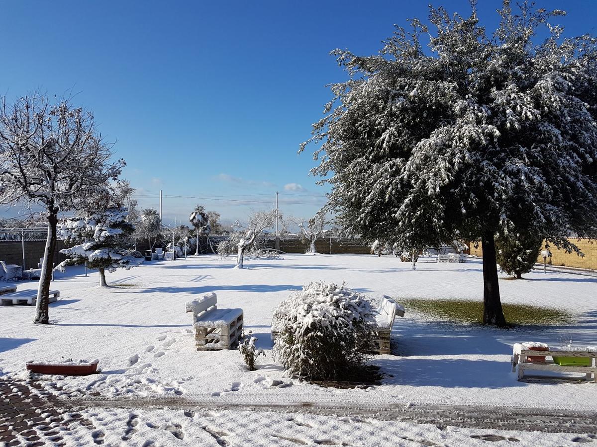 Villa Elegance Ladispoli Εξωτερικό φωτογραφία