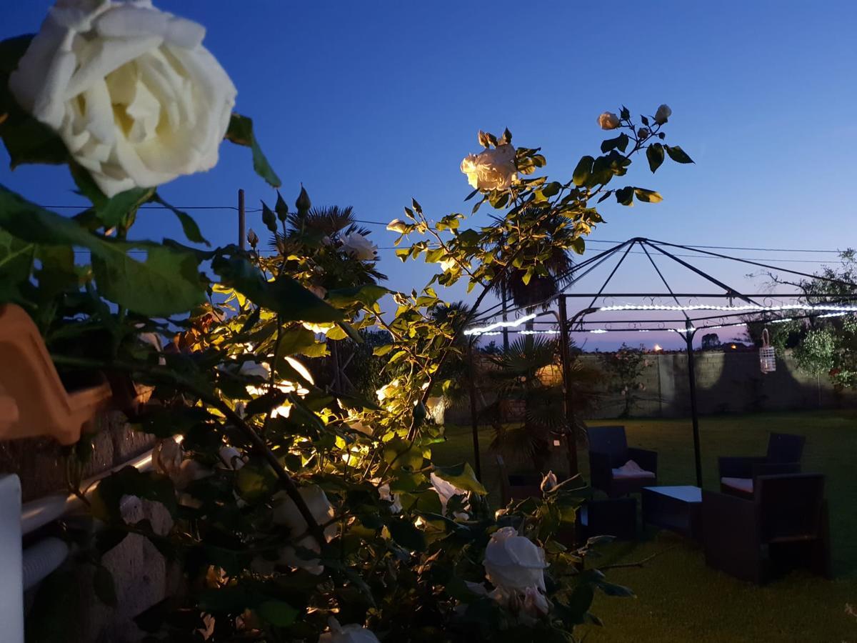 Villa Elegance Ladispoli Εξωτερικό φωτογραφία