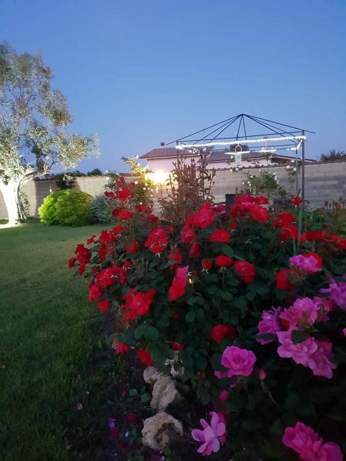 Villa Elegance Ladispoli Εξωτερικό φωτογραφία